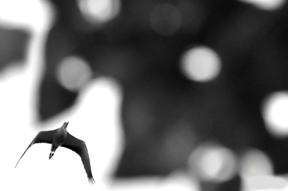 Photograph by Fabian Eder