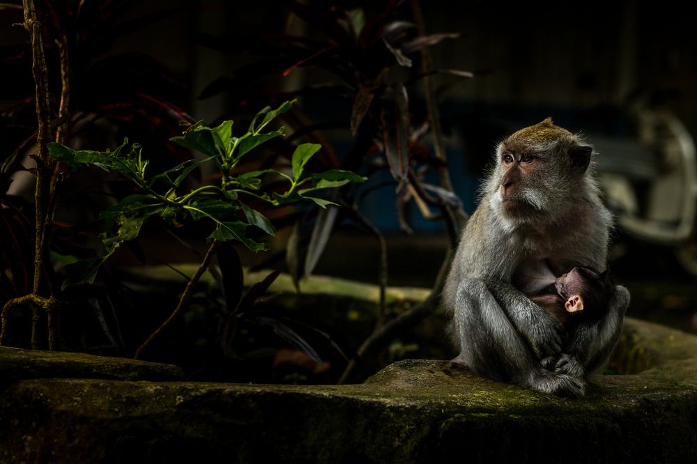 Photograph by Могилевич Elena