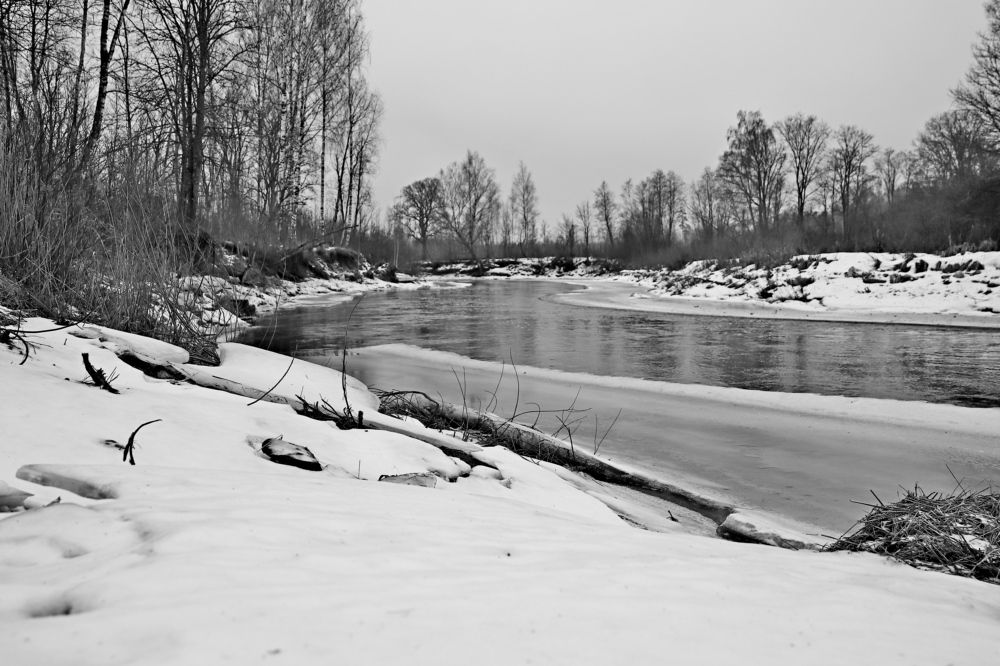 Фотография автора Сергей Барановский