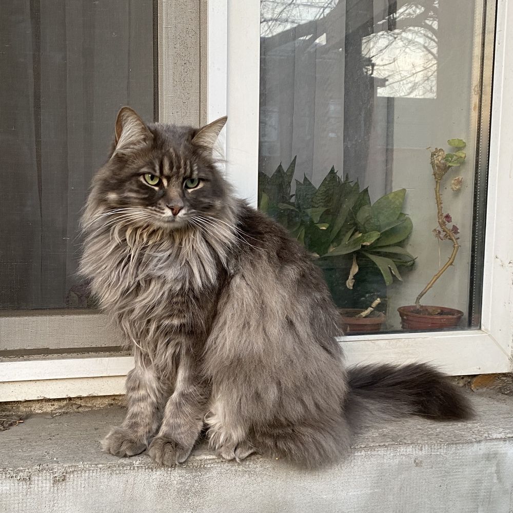 Photograph by Сергей Смирнов