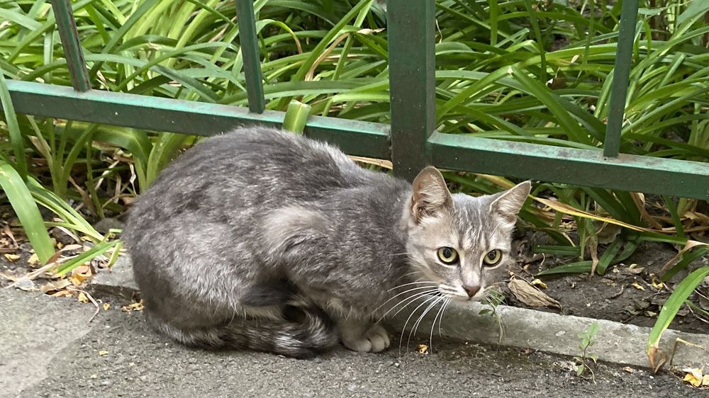 Photograph by Сергей Смирнов