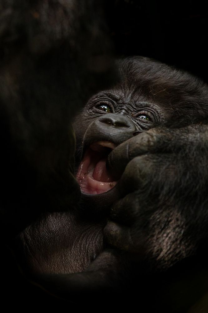 Photograph by Ricardo Ferreira