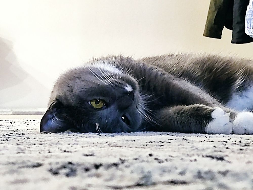 Photograph by Ramil Bakhriraziyev