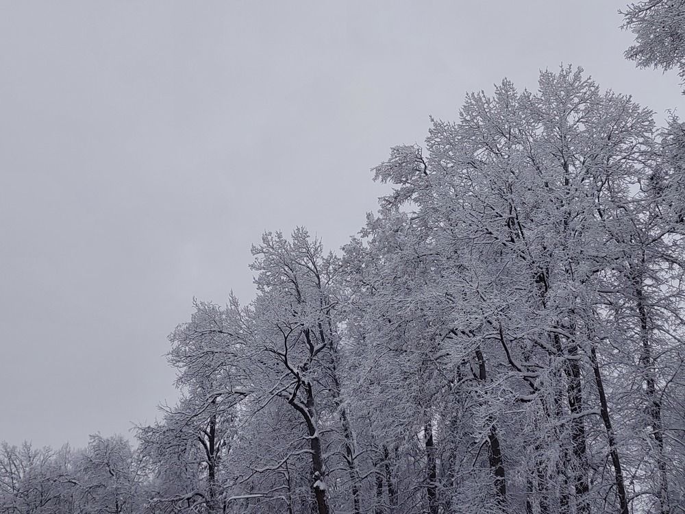 Фотография автора Мария Коледа