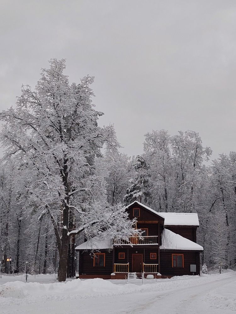 Фотография автора Мария Коледа