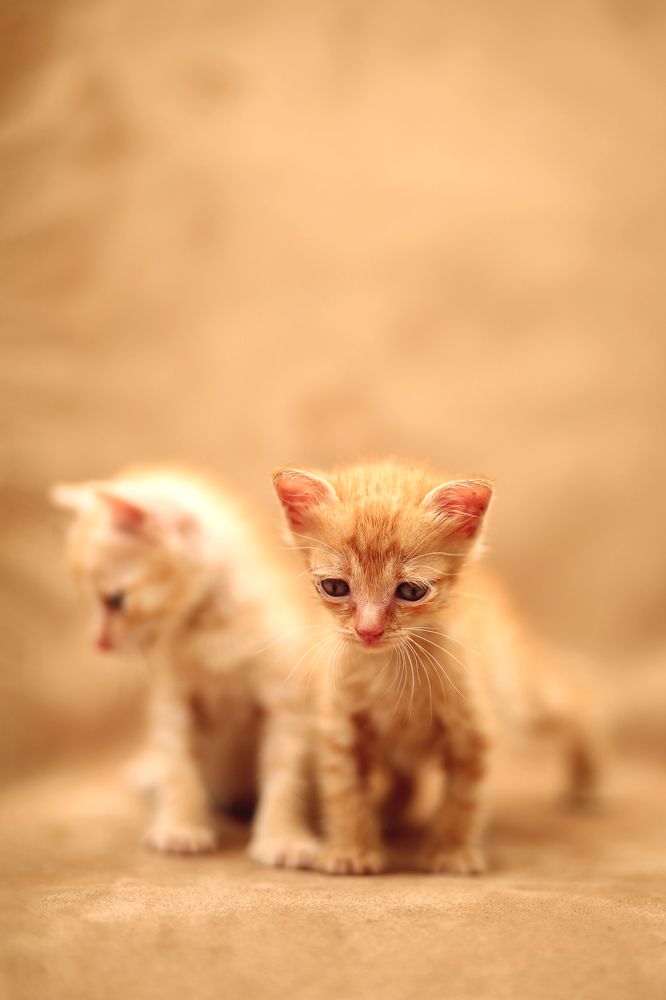 Photograph by Настасья Пермякова