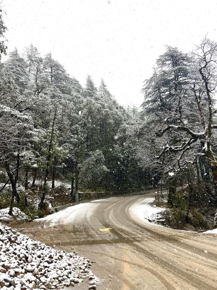 Photograph by Sharma Dr Megha