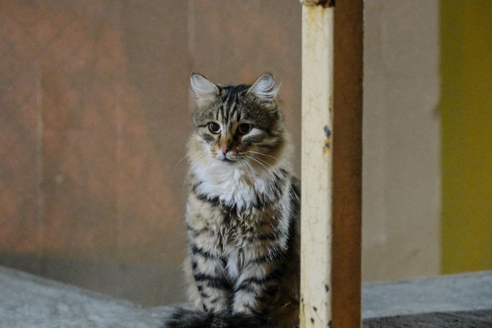 Photograph by Валерия Александровна