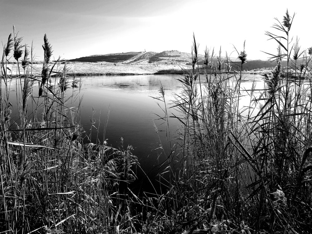 Photograph by Рафаил Манафов