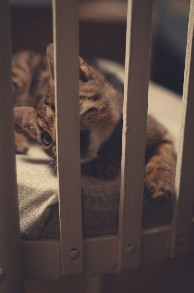 Photograph by Наталья Малёнкина