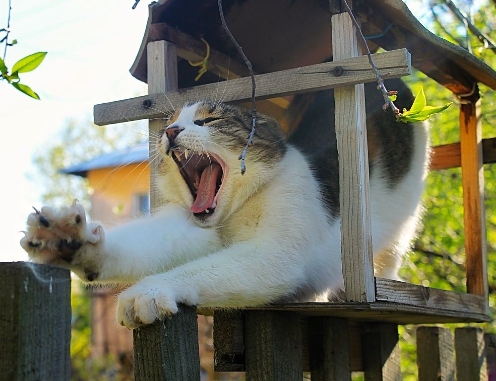 Photograph by Evgrashina Karina