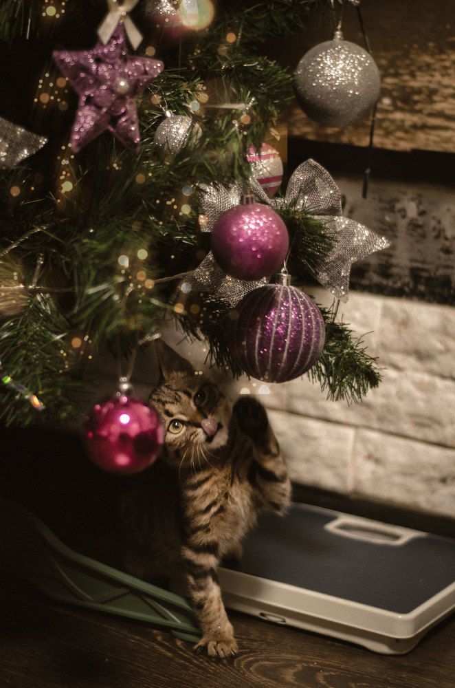 Photograph by Наталья Малёнкина