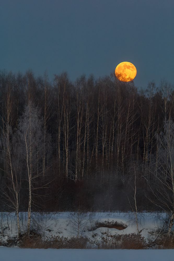 Волчья Луна