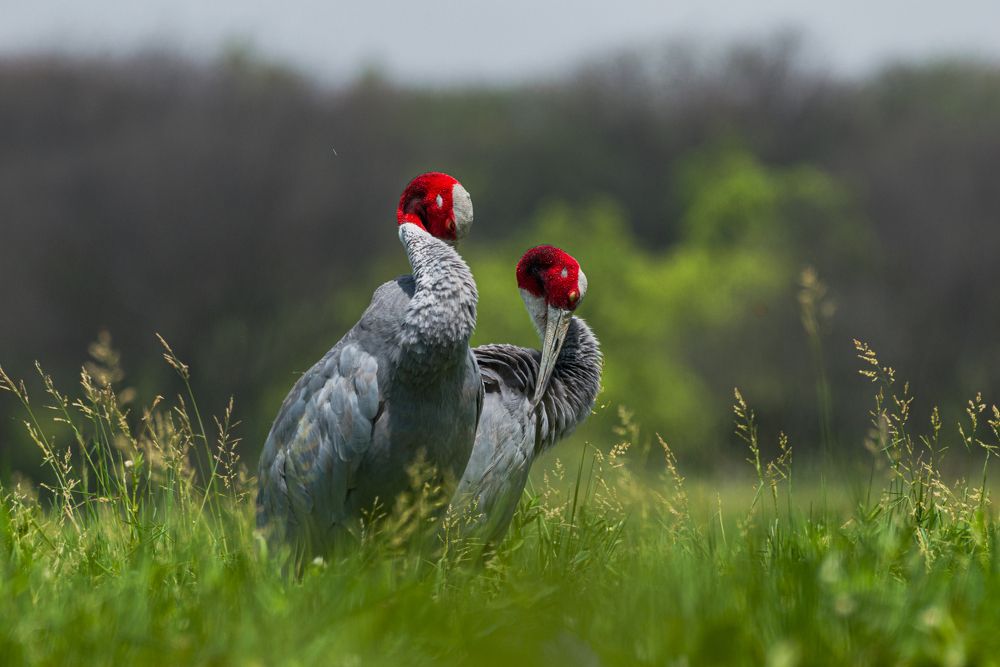 Photograph by Kshitij Patle