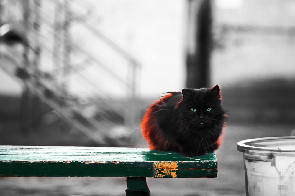 Photograph by Сергей Удовиченко