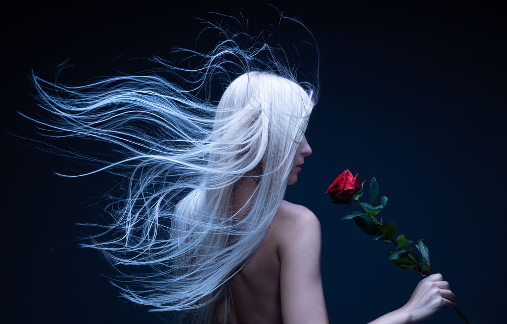 Northern wind