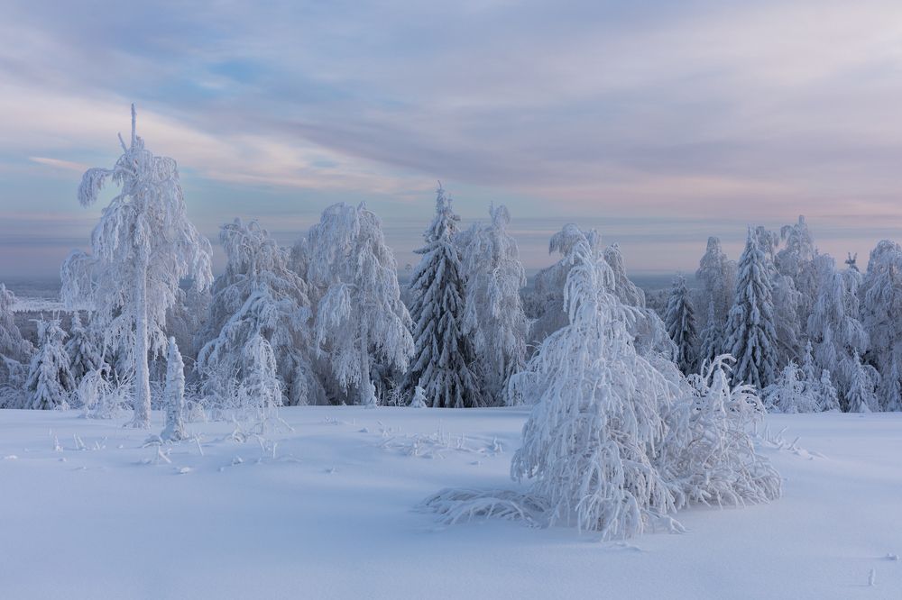 Photograph by Марина Маликова