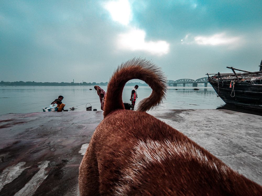 Photograph by Shounak Pal