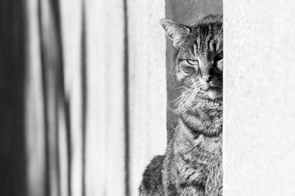 Photograph by Vania Tonova