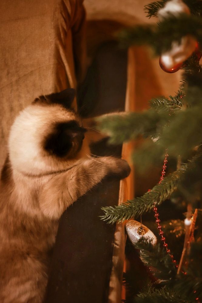 Фотография автора Екатерина Устинкина