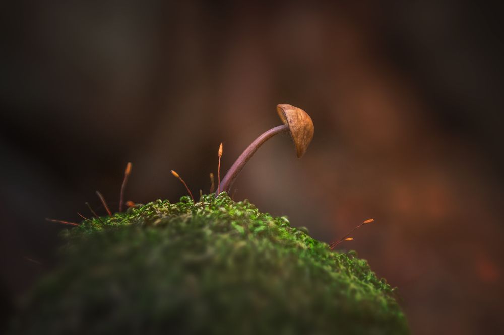 Photograph by Vania Tonova