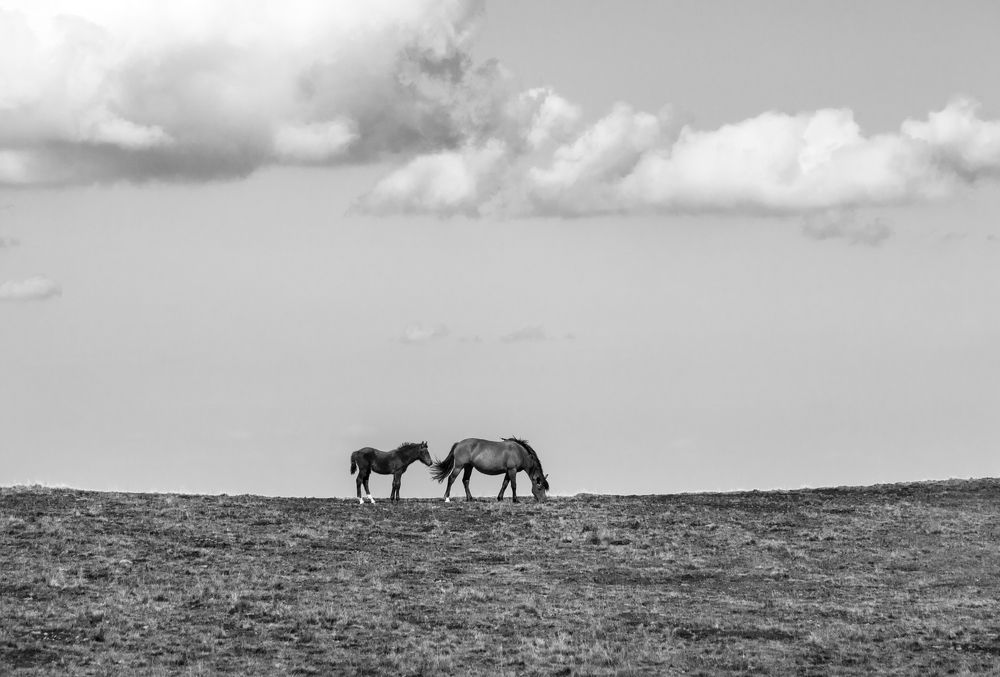 Photograph by Vania Tonova