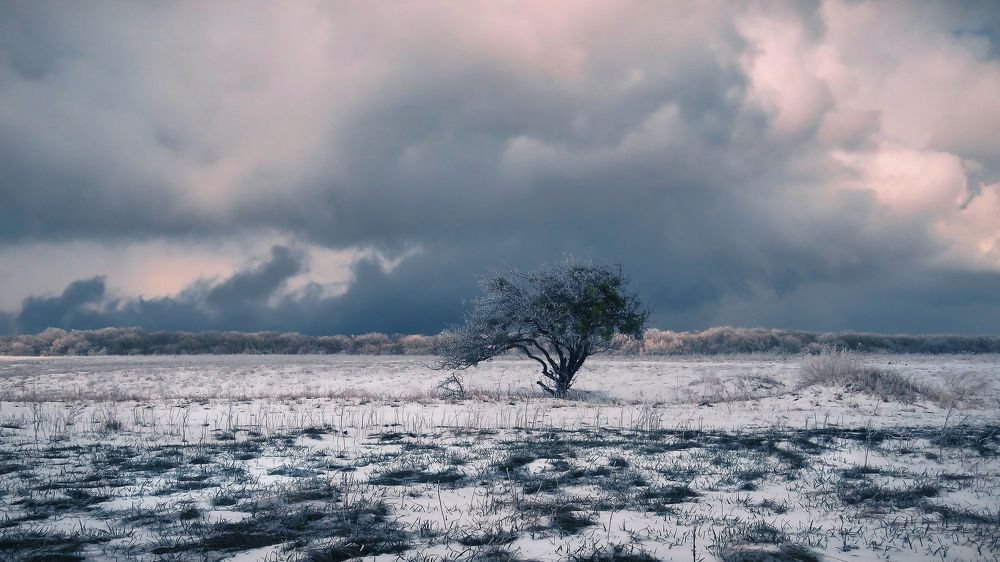 «Грозовое»