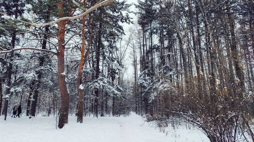 Photograph by Сергей Колесниченко