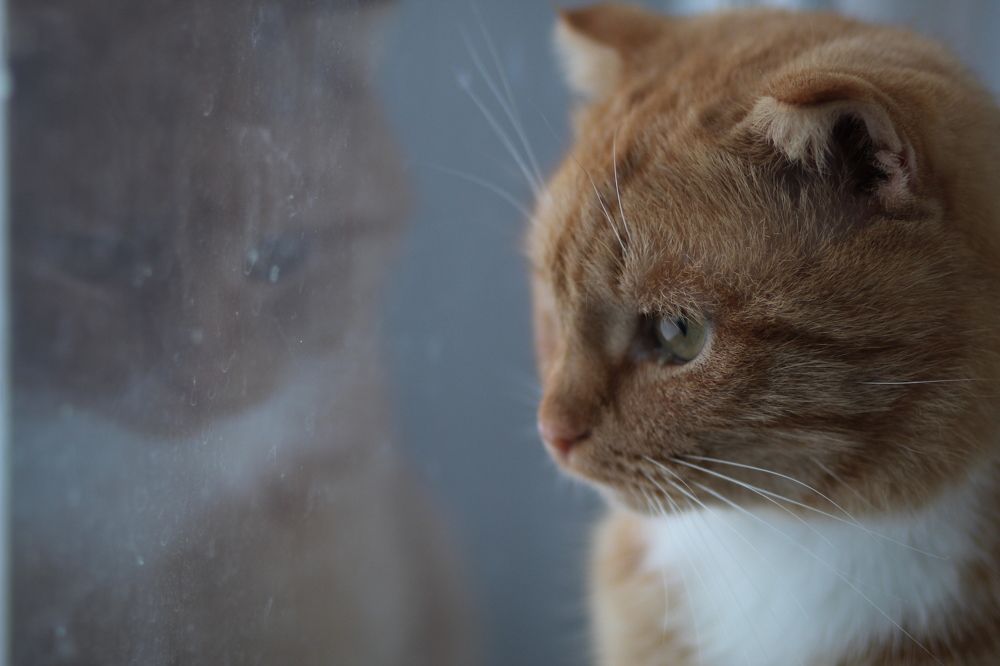 Photograph by Наталья  Тапилкина