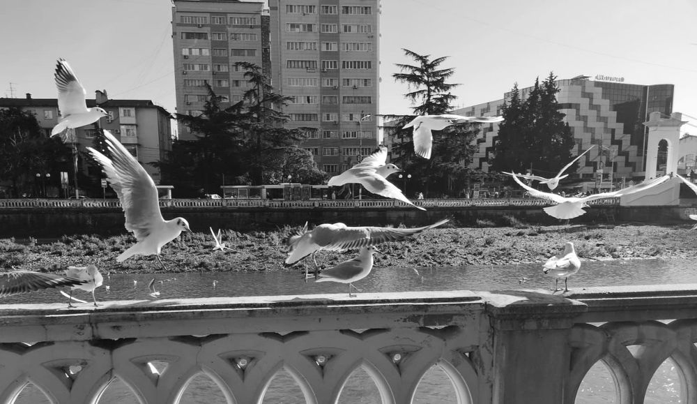 Photograph by Ольга Тихонова