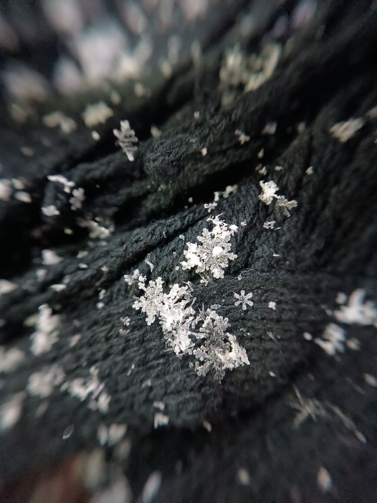 Photo #8674923