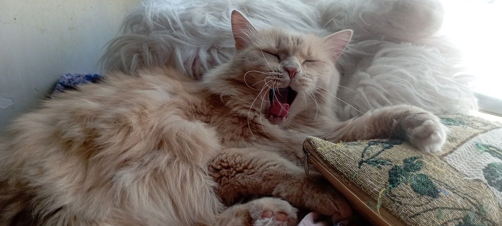 Photograph by Анастасия Кичигина