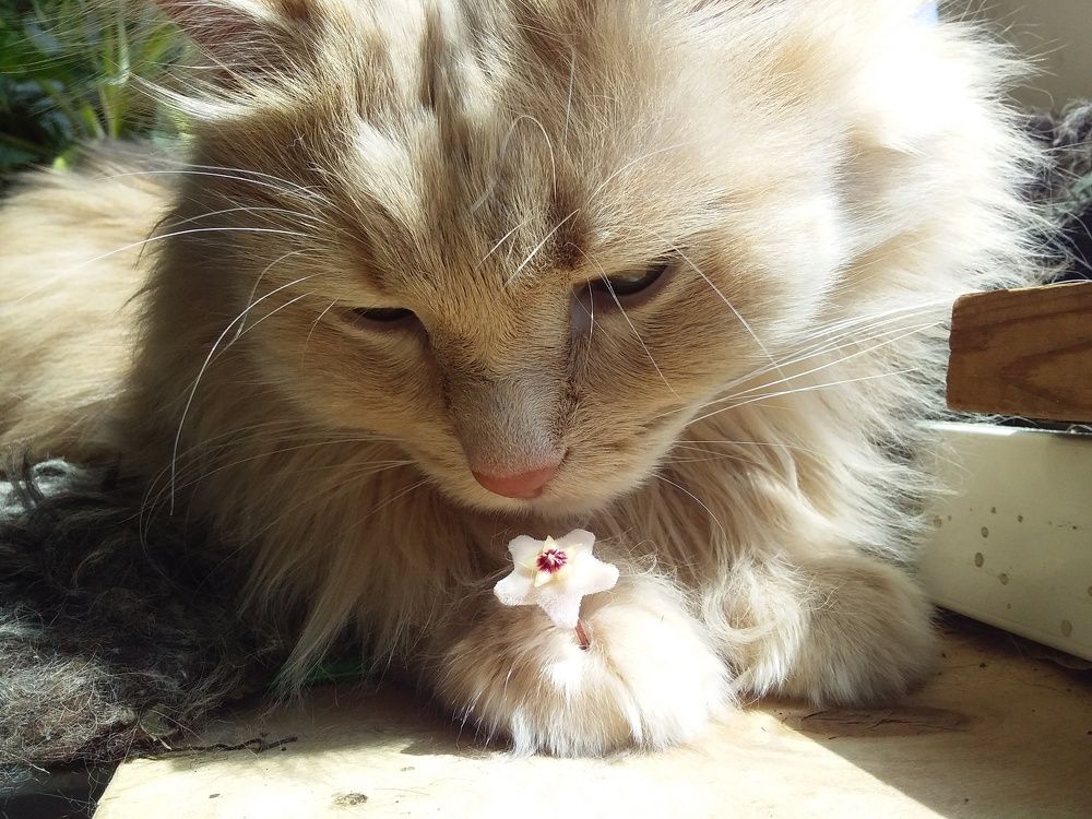 Photograph by Анастасия Кичигина