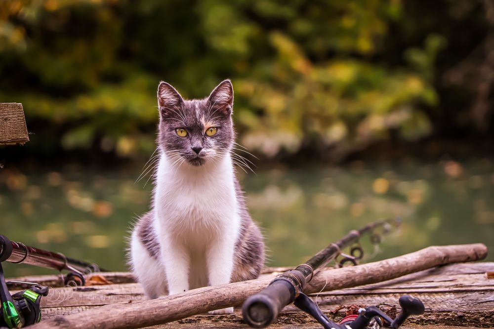 Photograph by Ксения Левченко
