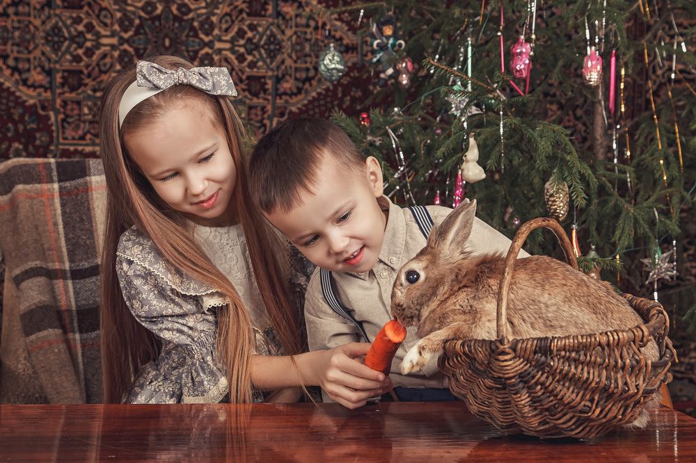 Photograph by Кашина Лилия
