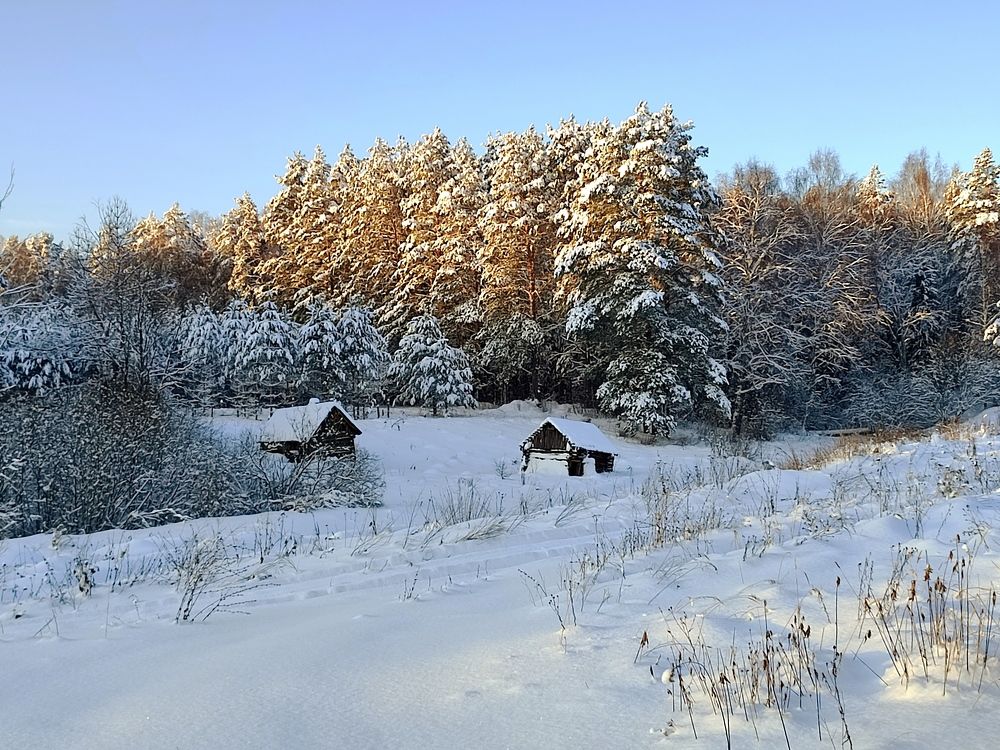 Photograph by Алёна Пшеленская