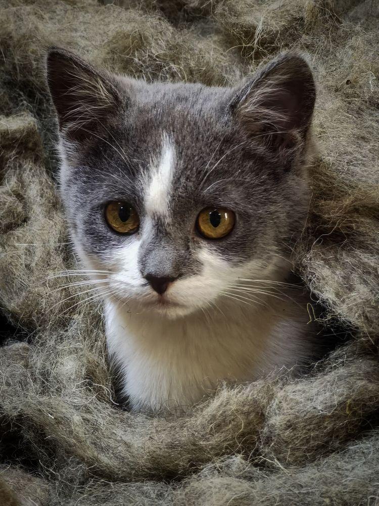 Photograph by Кирилл Никулин
