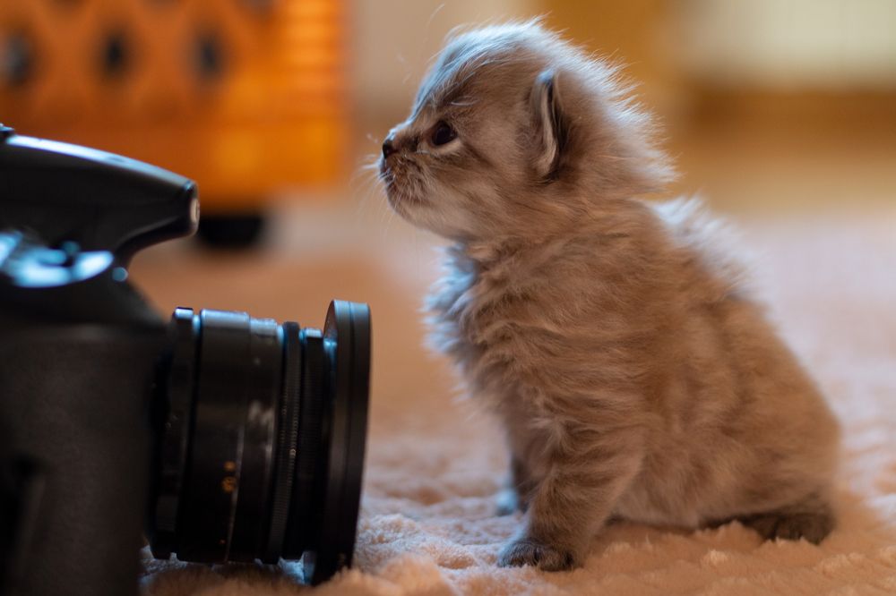 Photograph by Ирина Рыжова