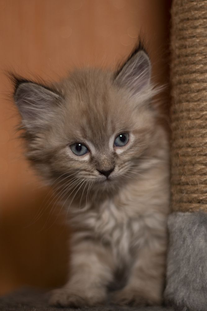 Photograph by Ирина Рыжова