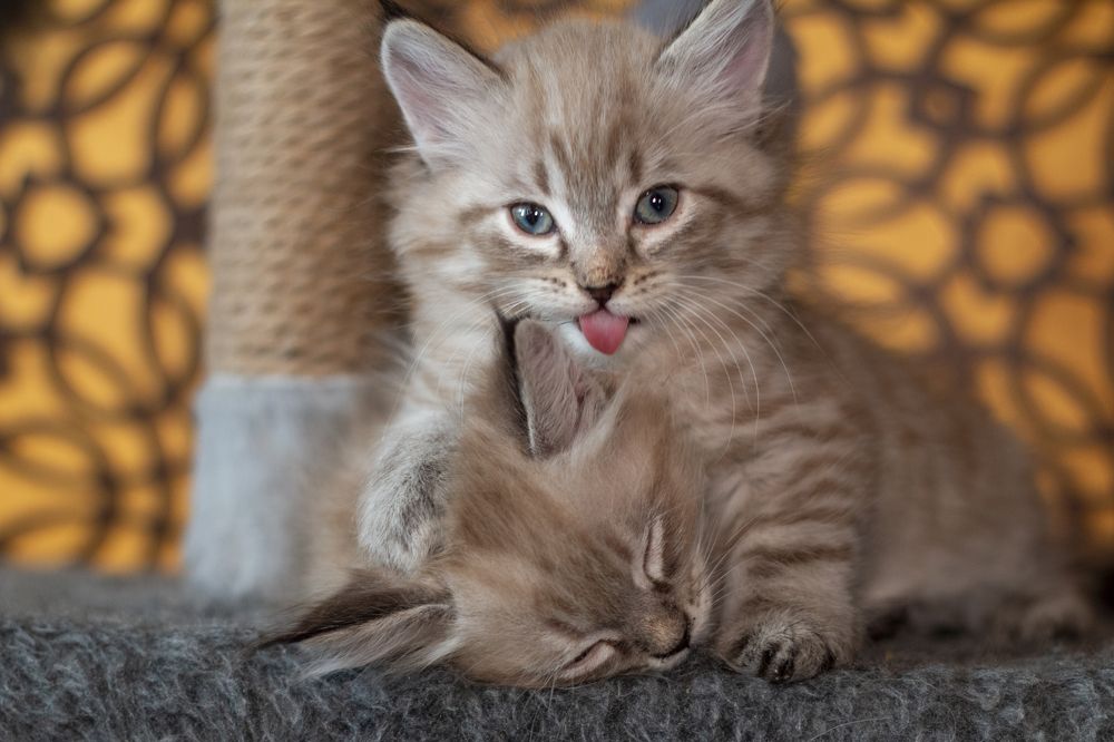 Photograph by Ирина Рыжова