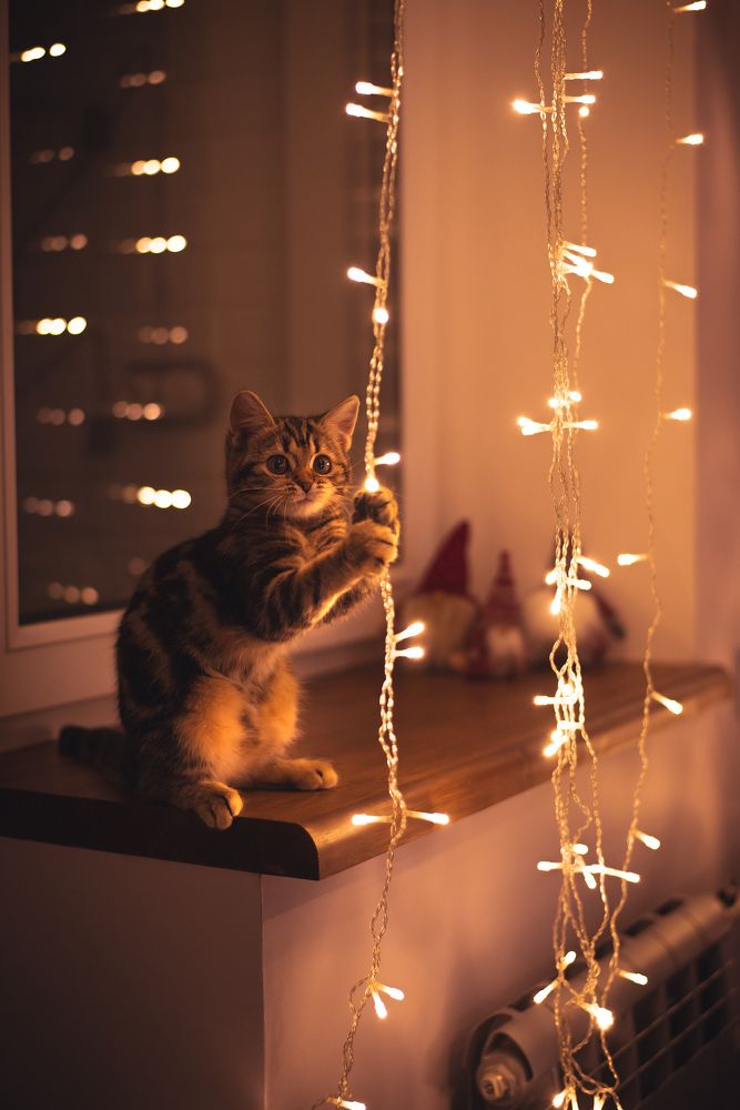 Photograph by Ирина Баёва