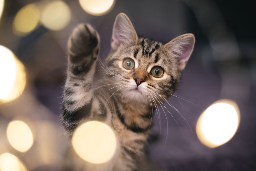 Photograph by Ирина Баёва