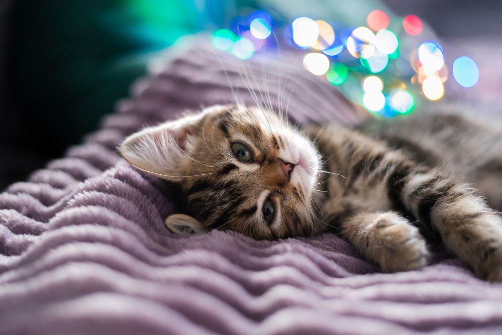 Photograph by Ирина Баёва