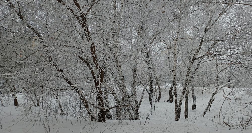 Photograph by Анастасия Кичигина