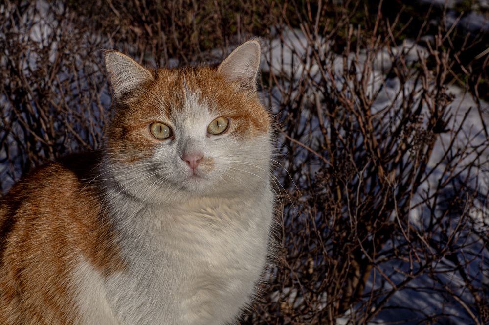 Photograph by Виталий Маслов