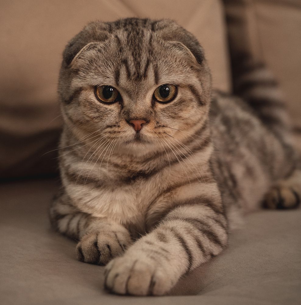 Photograph by Ольга Кириевская