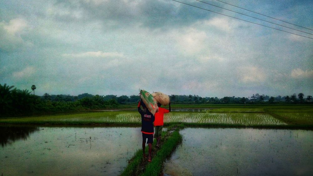 Leading to the field