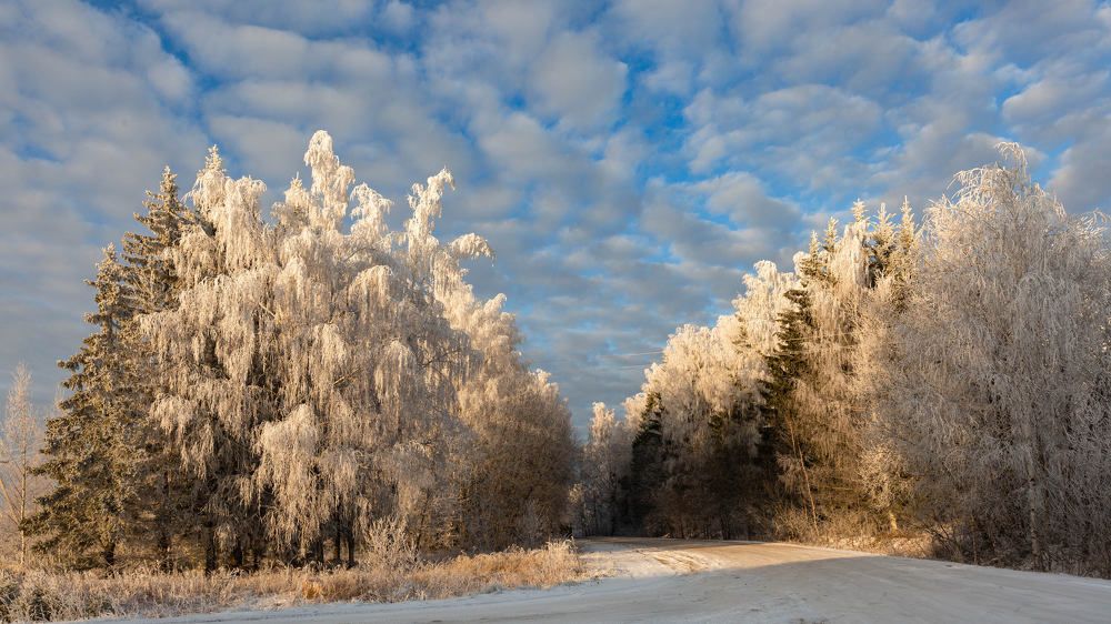 СЕРЕБРЯНЫЙ НАРЯД