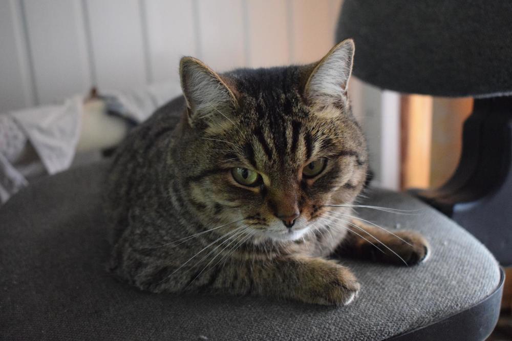 Photograph by Анастасия Игошина