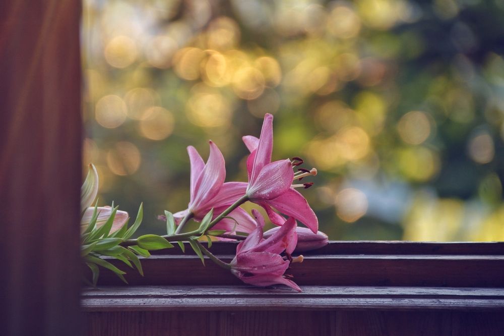 Photograph by Никита Брутман Broutman